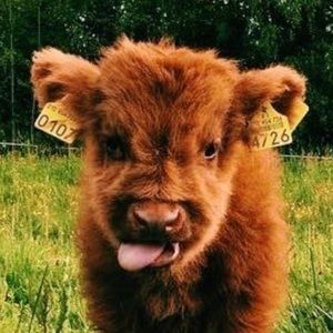 Meet your Posher, Brittney